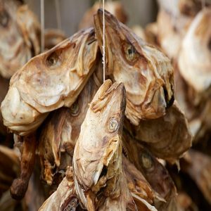 Stockfish head